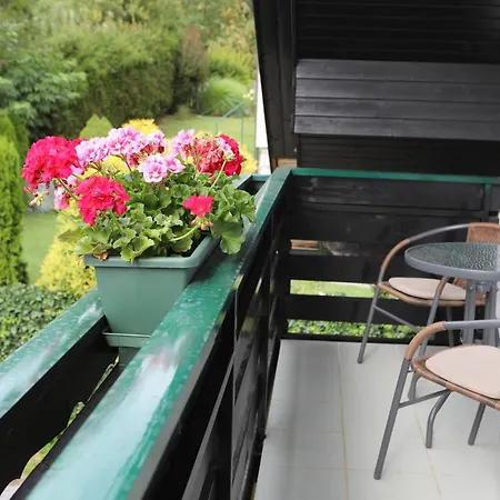 Apartmán Apartma Sasa