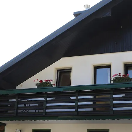 Apartma Sasa זגורניה יזרסקו